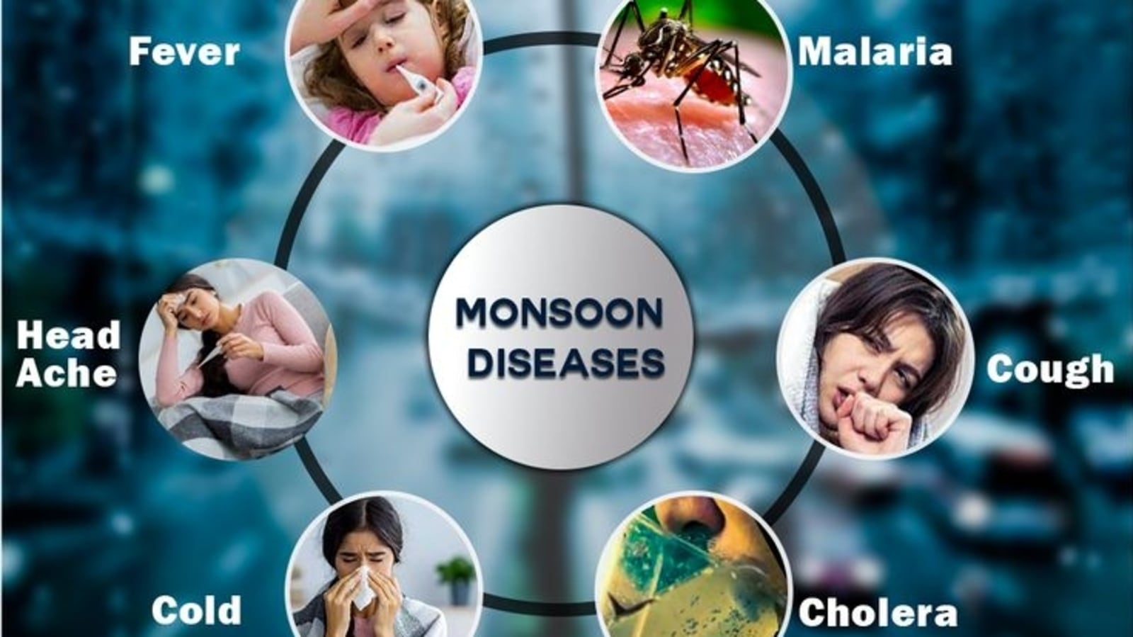 Monsoon Diseases