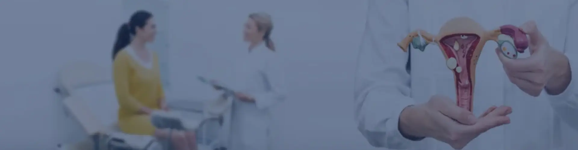 Emergency Ambulance Page Banner