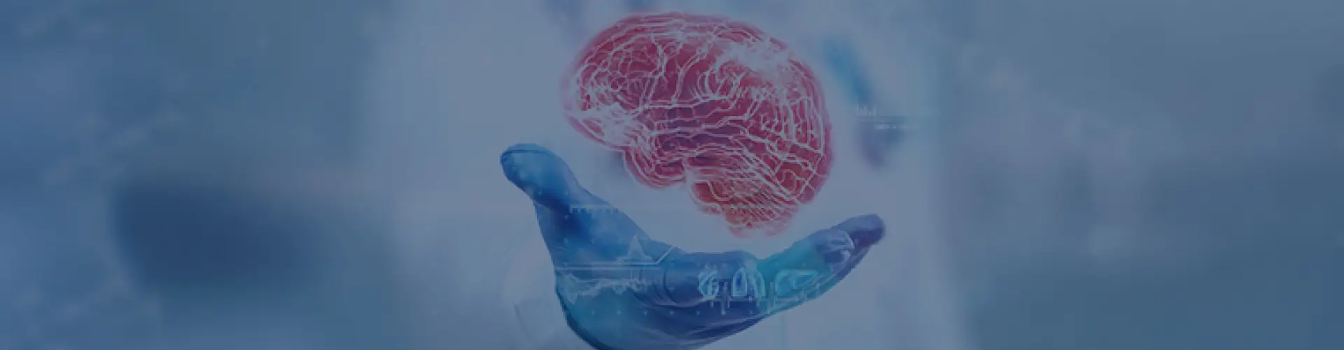 Emergency Ambulance Page Banner