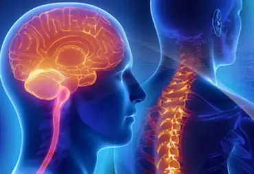 Surgical Neurology (Brain & Spine) image