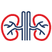 Nephrology