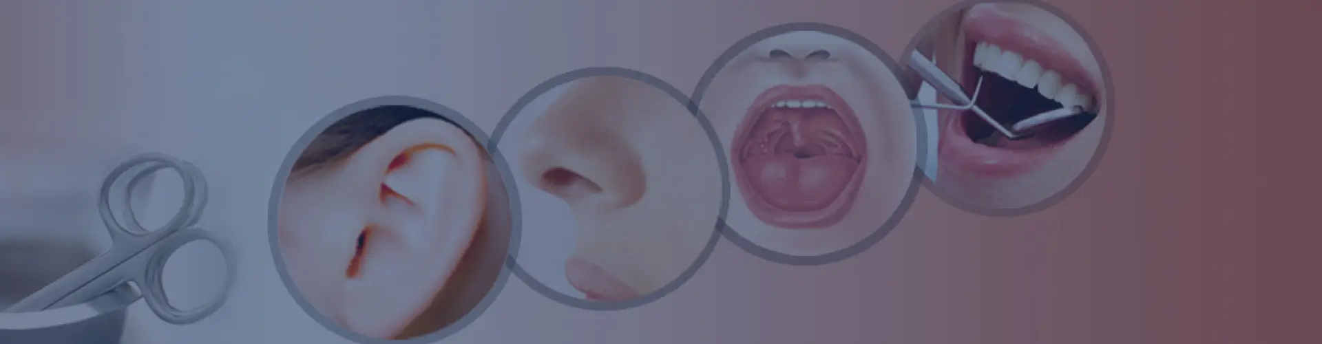 ENT (Ear Nose Throat) Speciality