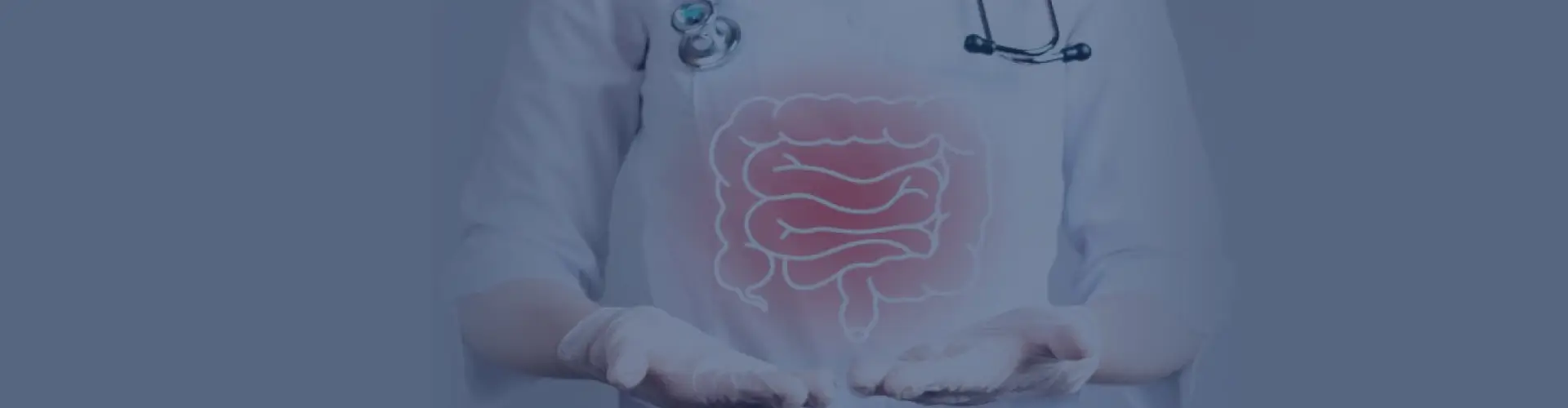 Gastroenterology Speciality