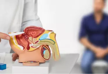 Male Reproductive Health image